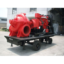 Double Impeller Type Centrifugal Water Pump Split Casing Pump with High Capacity